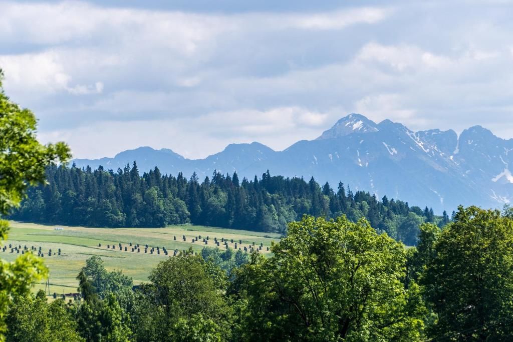 Шале Chata Na Brzysku Pod Białką Leśnica-43