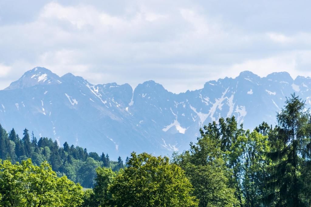 Шале Chata Na Brzysku Pod Białką Leśnica-45