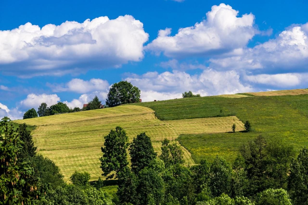 Шале Chata Na Brzysku Pod Białką Leśnica-8